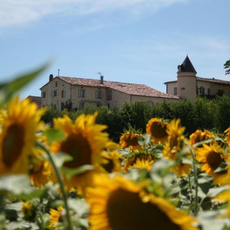 Domaine D'En Naudet Bed & Breakfast Teyssode Bagian luar foto